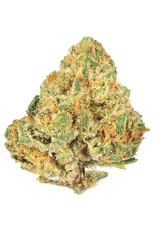Alien OG