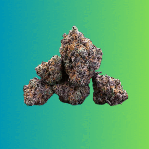 Biscotti - Hybrid Cannabis Strain