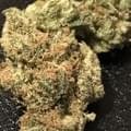 Tokyo OG