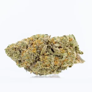 White Tahoe Flower