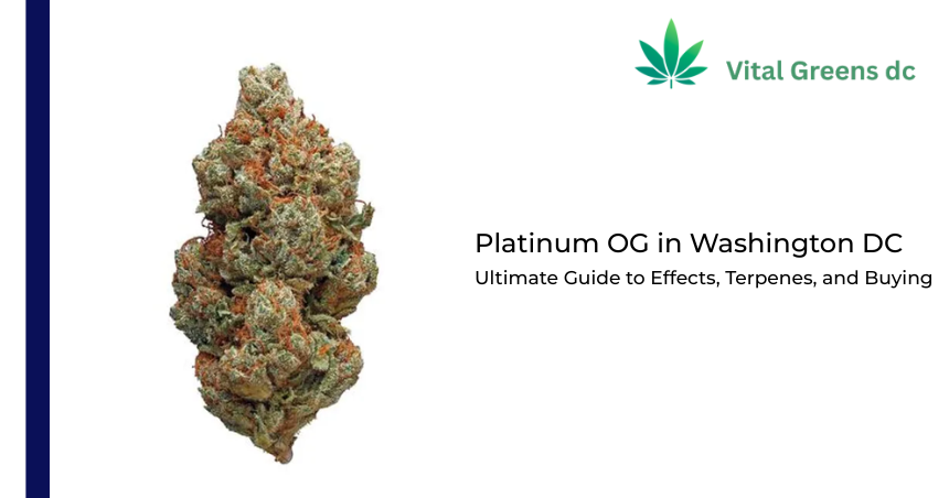 Platinum OG in Washington DC